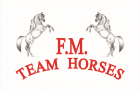 Benvenuti nel nostro sito web - Centro Ippico F.M. TEAM HORSES