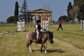 LE NOSTRE COMPETIZIONI - Centro Ippico F.M. TEAM HORSES