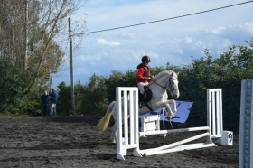 SCUOLA PONY - Centro Ippico F.M. TEAM HORSES