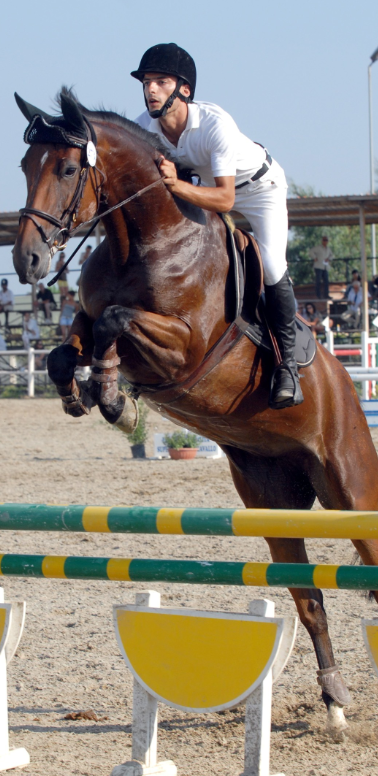 F.M. TEAM HORSES - Centro Ippico F.M. TEAM HORSES