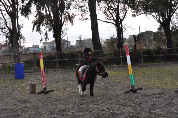  - Centro Ippico F.M. TEAM HORSES